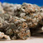 CBC cannabis strains