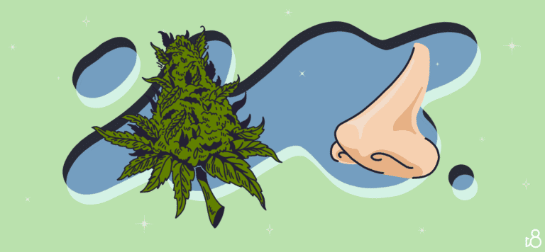 D8 Smell Weed
