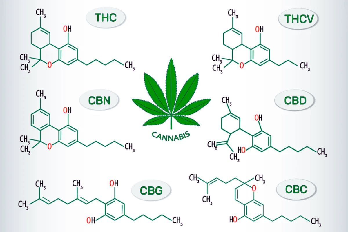 The image correctly represents the chemical structures of various cannabinoids found in cannabis plant