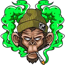 Flying Monkey