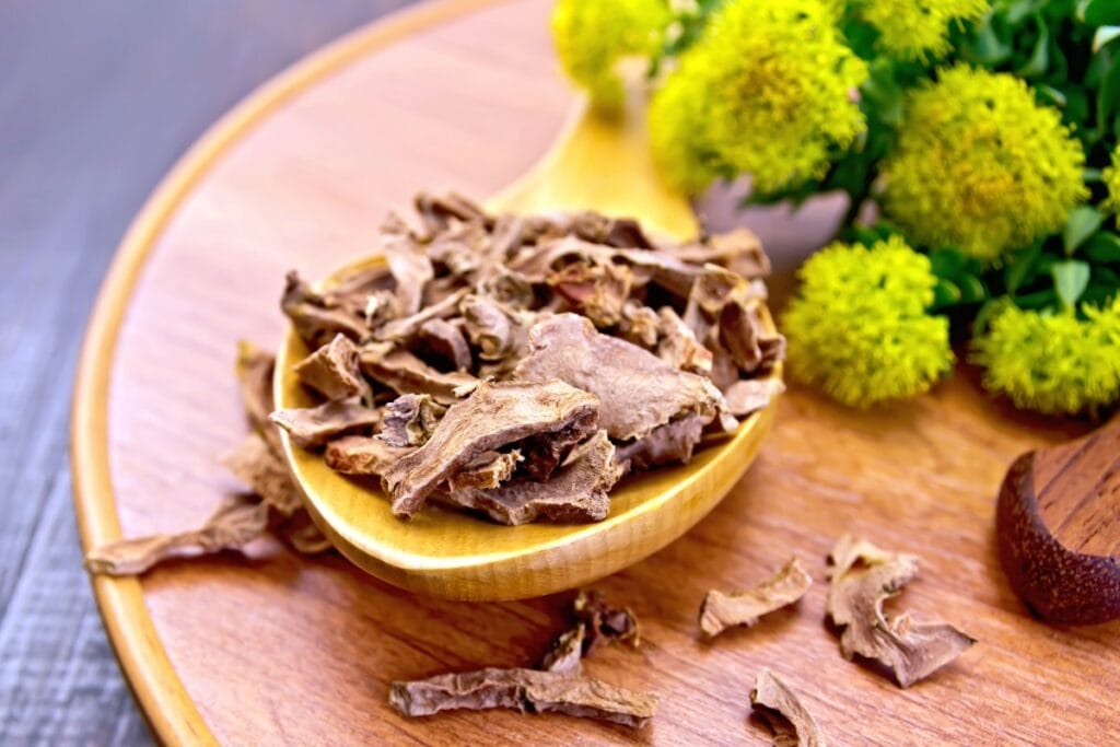 Rhodiola Rosea root extract supplement